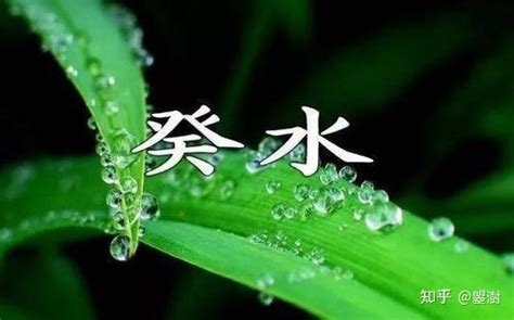 癸水命|十天干详解——癸水